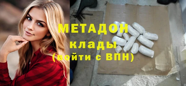 прущие грибы Верея