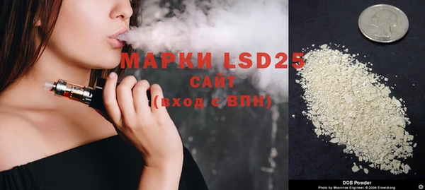 прущие грибы Верея