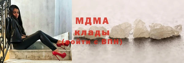 прущие грибы Верея