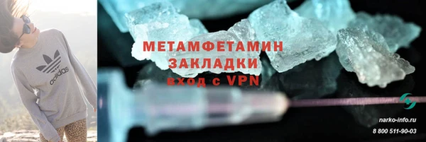 прущие грибы Верея