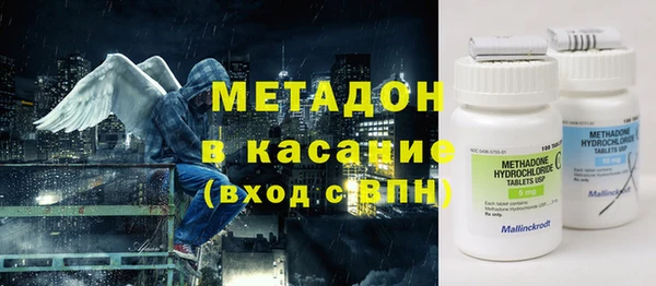 прущие грибы Верея