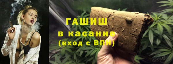 прущие грибы Верея