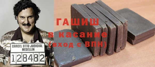прущие грибы Верея