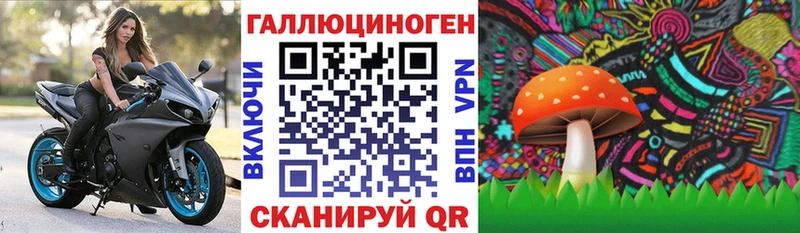 Псилоцибиновые грибы Psilocybine cubensis  купить закладку  shop какой сайт  Вологда 
